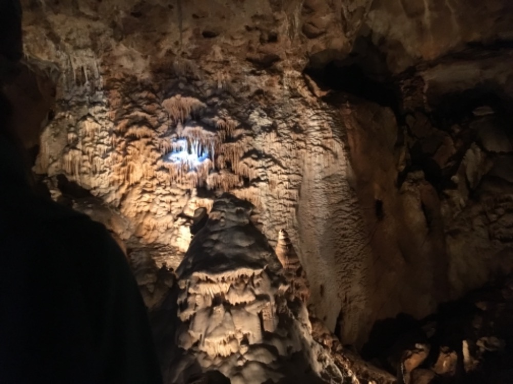 Javoříčské Jeskyně 4. 6. 2019